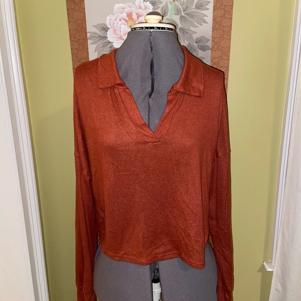 Rust Vneck Sweater long sleeved